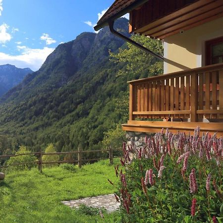 Zadnjica Holiday House Soča المظهر الخارجي الصورة