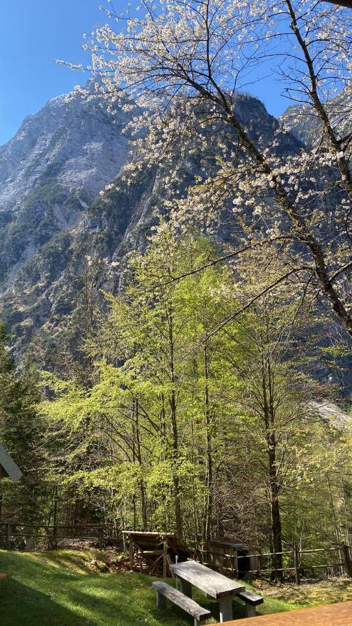 Zadnjica Holiday House Soča المظهر الخارجي الصورة